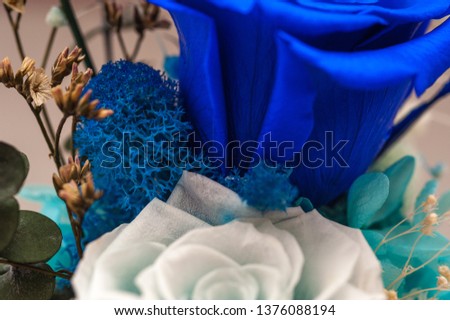 Close up macro shot of blue articial rose. Petals of fresh rose colored in light blue color. Close up of artificial rose on white background