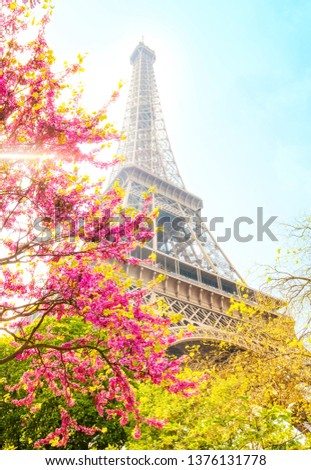 Eiffel Tower spring photo, Paris