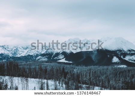 Landscape of mountain village around forest. Snow, clouds. Winter time 