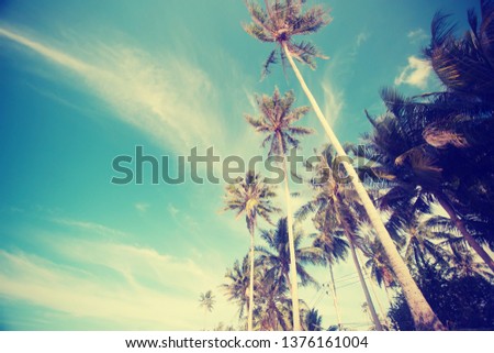 palm background with a beach in vintage color 