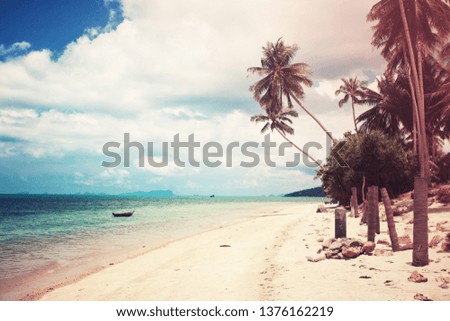 palm background with a beach in vintage color