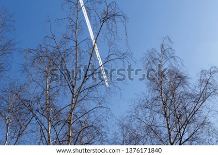 The plane in the blue sky and a white trace after it, some tree tops in front of the picture, Moscow, Russia. 