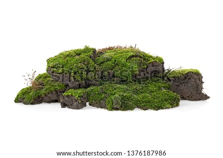 Green mossy hill isolated on white background Royalty-Free Stock Photo #1376187986