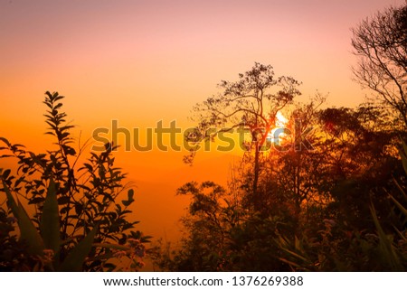 Golden light when sun rise in the morning is the most beautiful background of Phu Ruea District, Loei Province. Phu Ruea is the tourist attraction which well known as the coldest place in Siam.