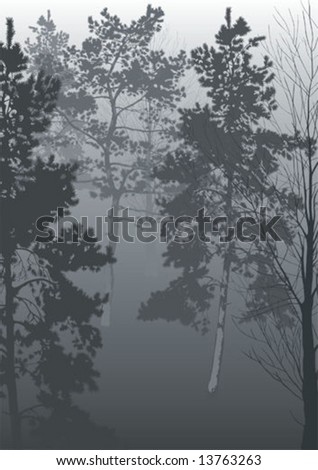A morning fog in a wood.