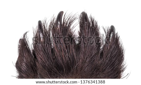 scary claws of an animal monster and werewolf on a white isolated background