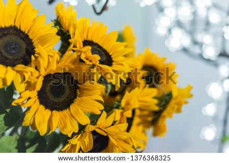 Sunflowers with blurred  neon background on the party night at the restaurant 