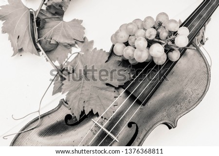 antique wooden violine with bunches of grapes and vine leaves - picture in sepia;