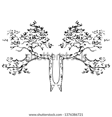 Isolated vector illustration. Symmetrical floral decor with two tree branches. Stylized double tree. Hand drawn linear ink sketch. Black silhouette on white background.