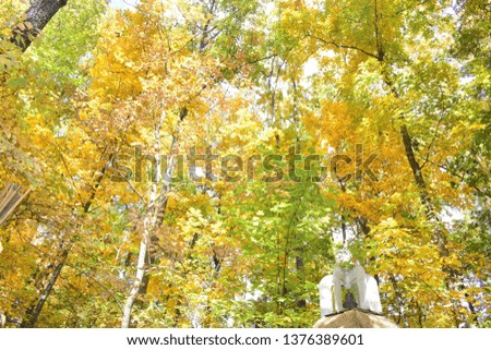 Beautiful Yellow background