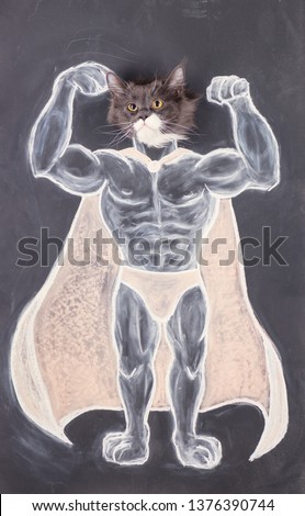  Front view of close-up of strong and bold superhero. Strong cat - man. Cat bodybuilder. Fintness club logo.