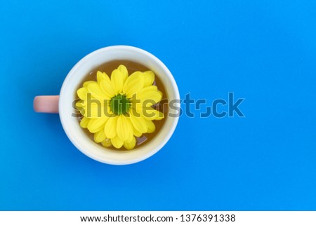 Yellow chrysanthemum flower floating in a tea cup, blue background with copy space