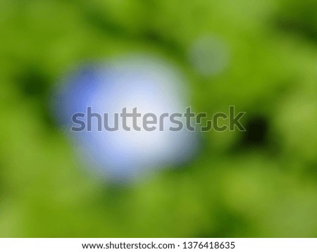 a blurred blue flower and a green background Royalty-Free Stock Photo #1376418635