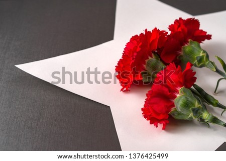 Carnations flowers on the background of white star. Red carnatio