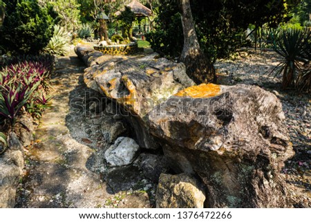 wood fossils on the center of park or garden in bogor indonesia become rock or stone - photo indonesia Royalty-Free Stock Photo #1376472266