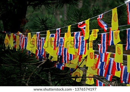 Thai & Buddha flag texture 