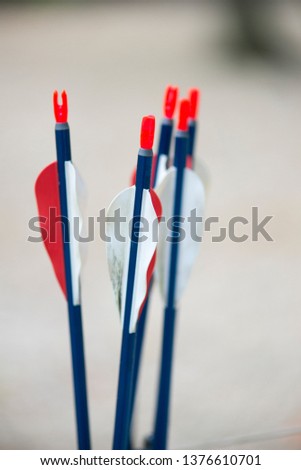 Youth Archery Arrows, colorful close-up Royalty-Free Stock Photo #1376610701