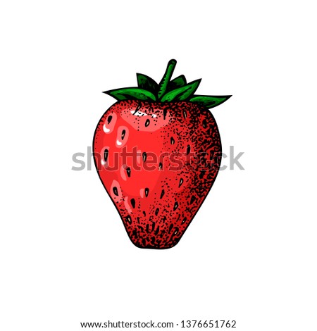 Red strawberry on white background. Beautiful element for your food or summer design.
