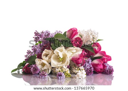 tulip bouquet of lilacs  on a white background