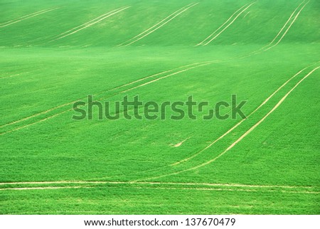 Green empty country field with tracks in springtime