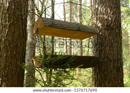 Forest feeder for animals and birds. Nature. The photo
