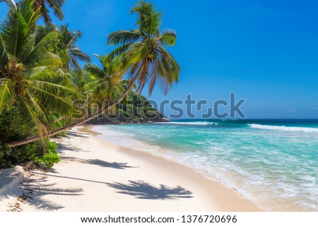 Sunny beach with palm trees and turquoise sea in Jamaica Caribbean island. Summer vacation and tropical beach concept.   Royalty-Free Stock Photo #1376720696