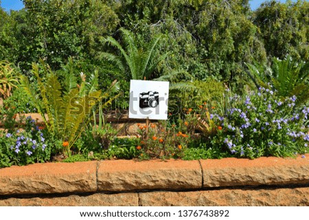 Camera sign in green garden