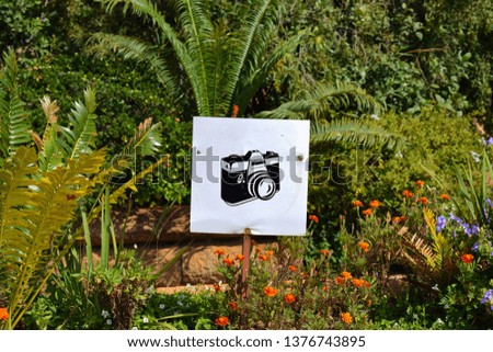 Camera sign in green garden