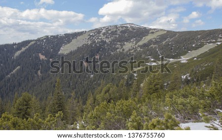 Rest in the Carpathians, Hiking in the mountains Gorgany 
