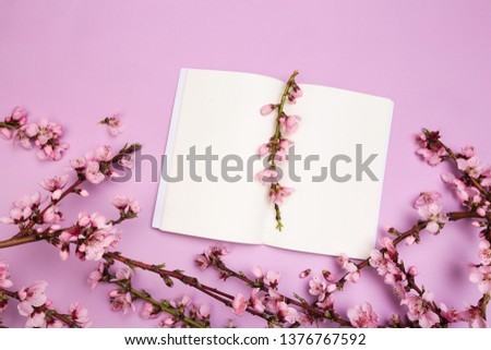 mock up notebook and sprigs of the apricot tree with flowers on pastel colour background. Place for text. The concept of spring came, happy easter, mother's day.Top view.Flay lay. Copy space. 