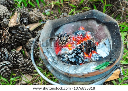 the fire is burning in a compact brazier, the embers smolder.  soil brazier for cooking such as grill and boil burning pine fruits in stove and many pine fruits on green grass background