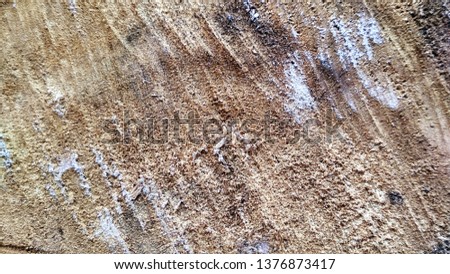 photos of wood background for closeup wood in the background with photocopying space as the background of the brand logo landscape, Photoshop mockup wallpaper concept ..