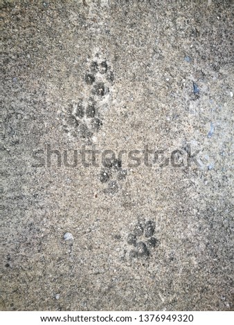 Missing dog foot trace