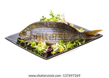 Salema porgy - sarpa fish
