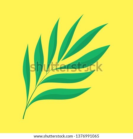 Palm tree green leaf. Tropical decoration element. Exotic jungle floral symbol. Isolated flat vector illustration
