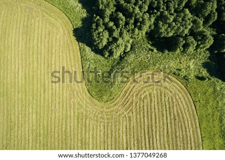 Top view of the meadows with hay, beveled yellow and untreated green. Interesting shape and lines of the earth on a map on a sunny day, close-up. Aerial photography landscape in summer