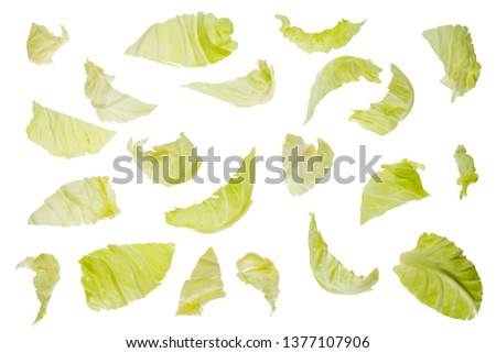 Pieces of Organic Cabbage on white background, Top view Royalty-Free Stock Photo #1377107906