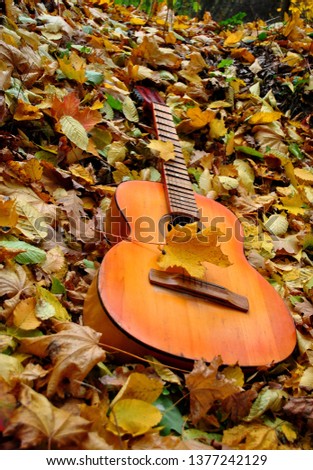 the guitar lies on the leaves