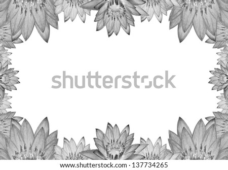Black & white lotus frame