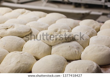 Photo of a fresh dough in a bakery