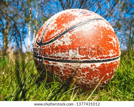 A close-up of a basketball, lying in the grass.