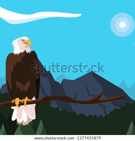 beautiful bald eagle in tree branch landscape scene