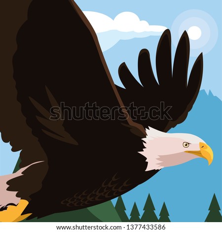 beautiful bald eagle flying in the landscape