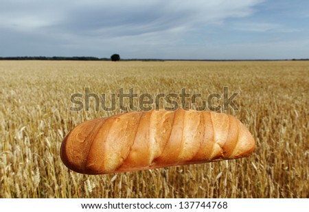 Bread and wheat field.