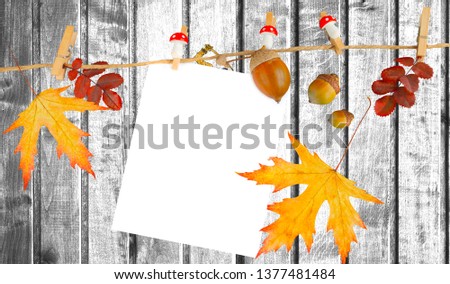 State of Massachusetts flag on autumn wooden background with leaves and good place for your text.