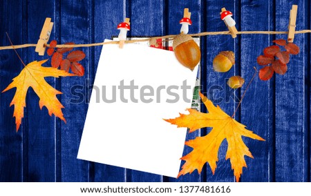 Alberta flag on autumn wooden background with leaves and good place for your text.