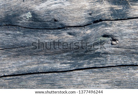 Silver wooden texture closeup photo. Grey timber with weathered cracks. Natural background for vintage design. Sea wood backdrop. Rustic tree top view. Grungy lumber flat lay. Distressed wood Royalty-Free Stock Photo #1377496244