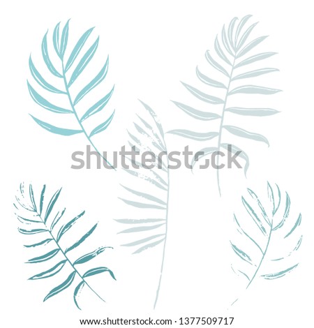 Vector set of cool colored tropical leaves of palm trees on a white background. Vector grunge leaves. Tropical illustration. Jungle foliage. Cool floral wallpaper