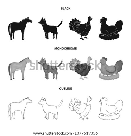 Vector design of breeding and kitchen  sign. Set of breeding and organic  stock vector illustration.