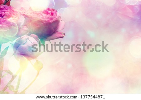 bouquet of pink roses background / holiday concept, beautiful pink flowers background